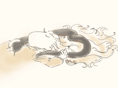 고서점의 뱀은 서점주인과 낮잠자는걸 좋아한다