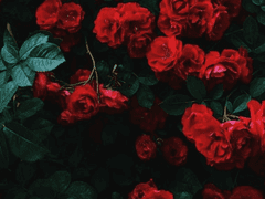 [트위스테] 어떤 편지