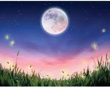 제 1화 : 할로윈