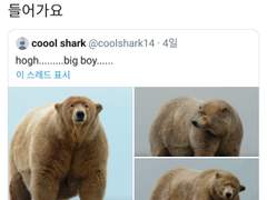 쉬어가는 해시 타임(1)