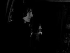 [스네해리]경계선-8