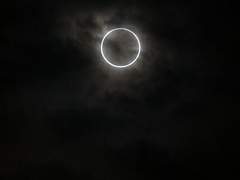 친애하는 ㅡ에게