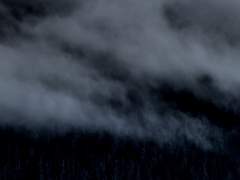 I will never not think about you.