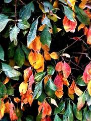 선을 믿는 하늘의 자산