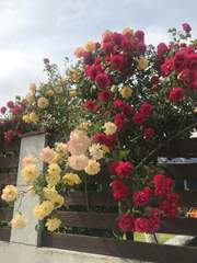 상상보관소 (당신이 원하는 모든 것)