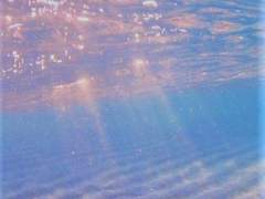 오태형은 열여덟이다