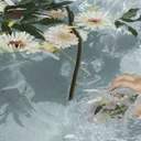 𝐒𝐇𝐈𝐈𝐍𝐀