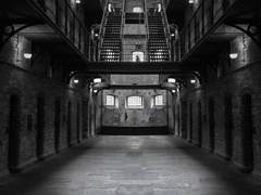 잔혹하나 아름다운