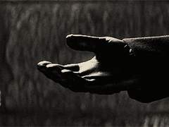 작디 작은 손이다.