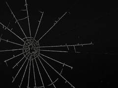 여호와여 내 입 앞에 파수꾼을 세우시고 내 입술의 문을 지키소서