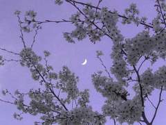 서로에게 전하는 말