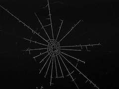 비오는 검문소의 하루는 조용합니다.