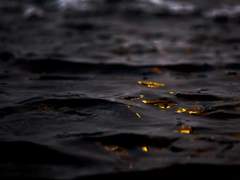 종종 희망은 사람을 절박하게 만들곤 합니다.