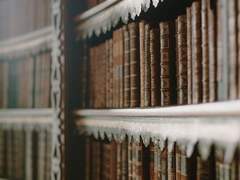 [빅터앙리] 신의 이름으로