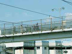 육교 위에서의 추락