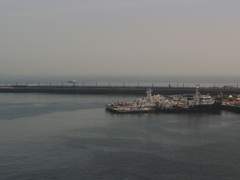 메밀꽃이 일던 그 곳, 봄_하나.