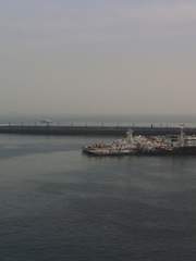 메밀꽃이 일던 그 곳.