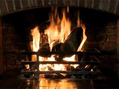 [성필] 77588517748