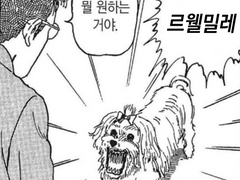 트위터 백업 (9)