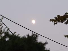 113. 달아, 안녕?