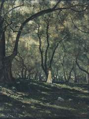 [牛白] 橄欖의 지대