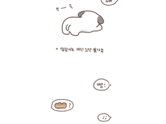 믓진 강새이의 철칙