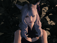 바이올레아 프로필