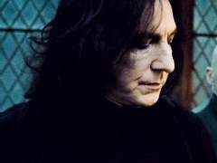 [스네해리] 경계선-11