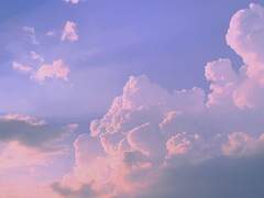 언젠가의 마지막 한마디와