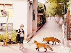 여우들이 따르는 아이