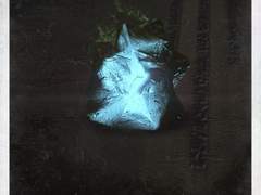 VIII: Leviathan (리바이어던)