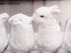 간단한 공지는 이 글 댓글로 업뎃! (21.01.25)