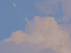 오늘따라 네가 더 아름다웠어