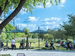 여름 날씨에 가을 하늘