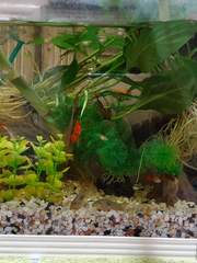 망기무선 단편들