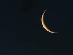 비가 왔으면 좋겠다고 생각하곤 해