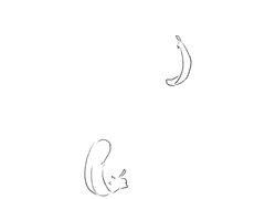 그날 소망했던 것은