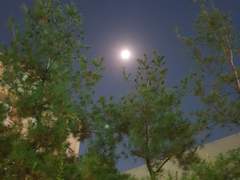 115. 어머, 집 앞에 왔네!!