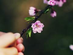 漢陽歌(한양가). 1화