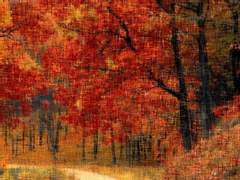 신조선의 붉은 담비