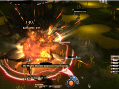 초보자 파티와 기형 몰볼