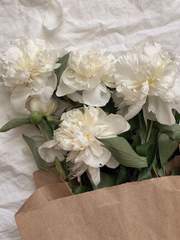 아르미의 연성 노트