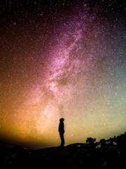 전독시&times;내스급