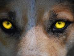 삐걱거려도 굴러가긴 하는구나