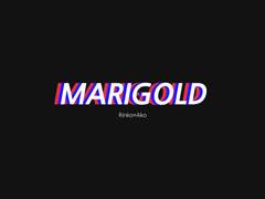 MARIGOLD (5)