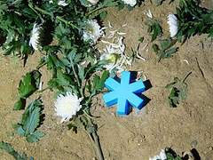 201029 오늘의 노래 : 키라라 KIRARA - Stay