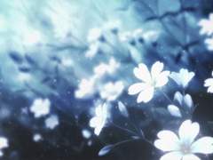 [이누카고] 끝나지 않는 이야기