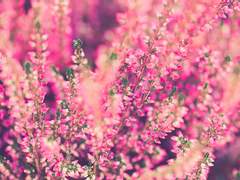 [전오수] 달에서 온 청첩장