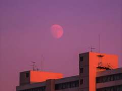 정체 글 커미션