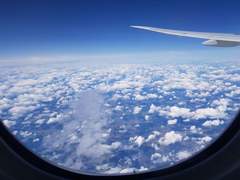 희곡 연애 原理